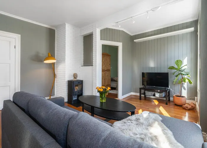 Sunny Apartment In Alesund City